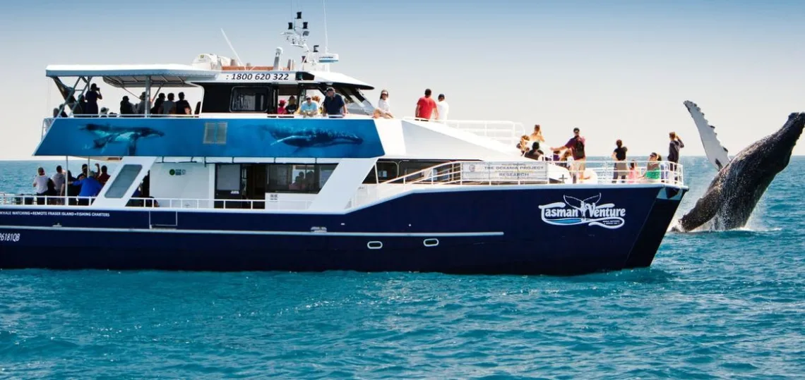 hervey bay movies​