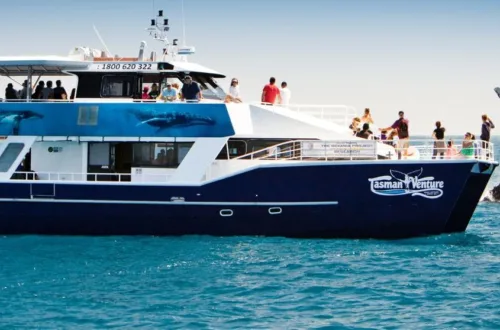 hervey bay movies​